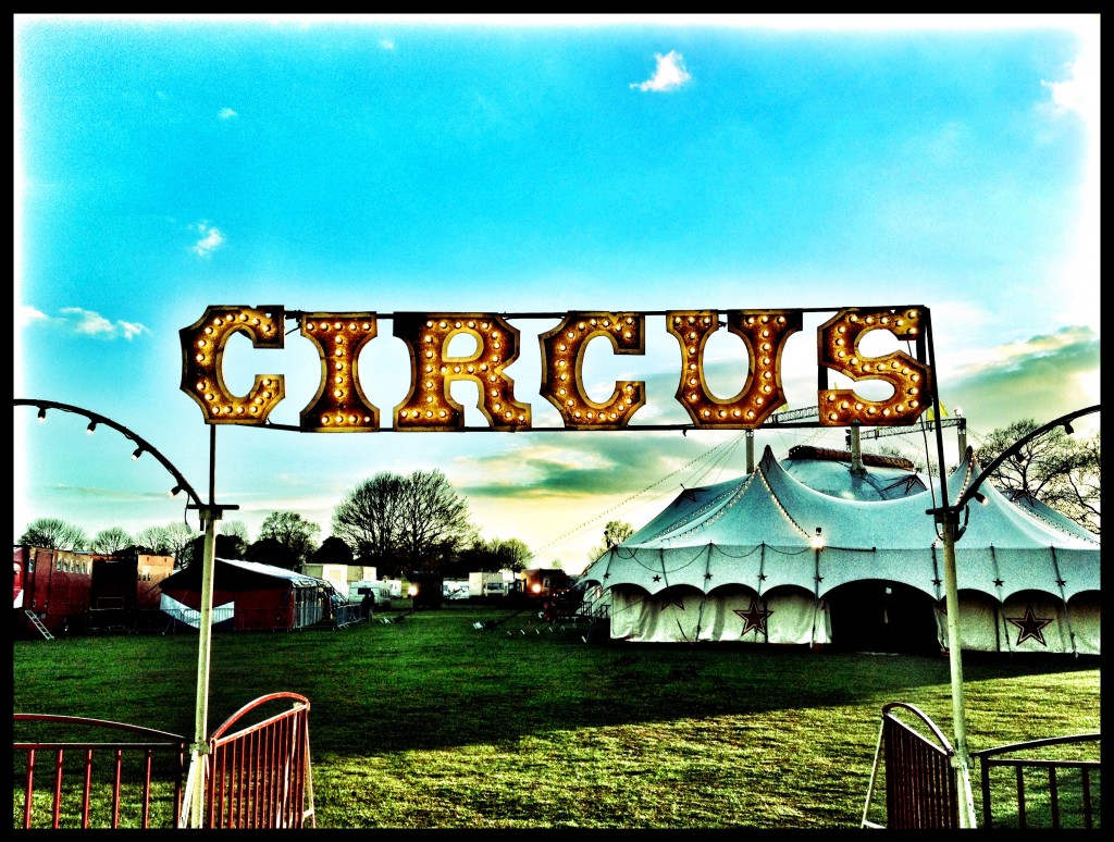 zippos circus