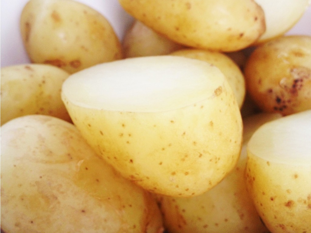potatoes crop