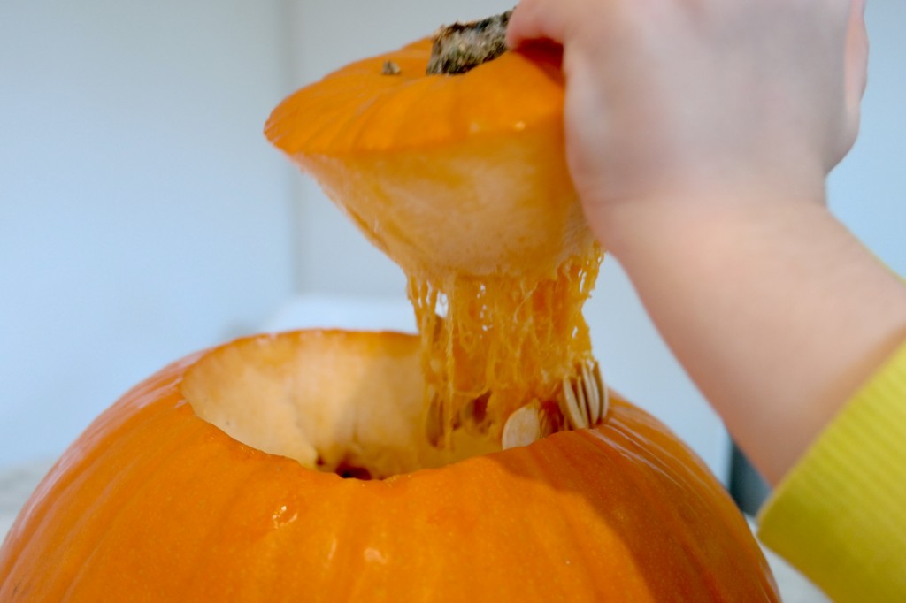 pulling the pumpkins brains out