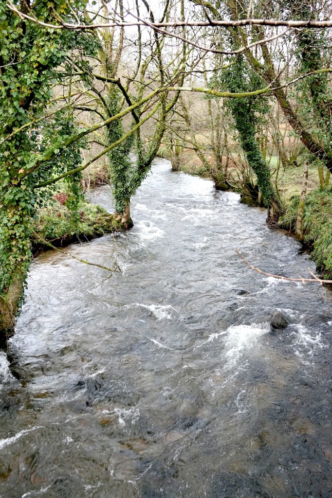 the river camel