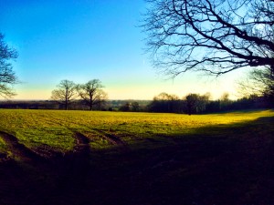 sunlight and fields